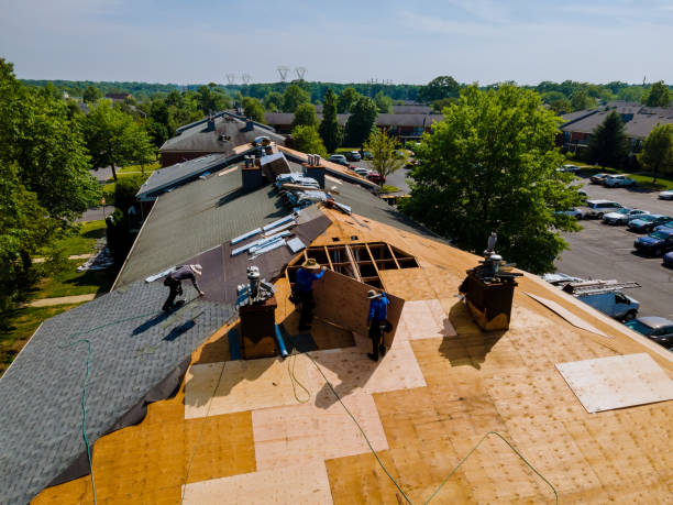 Best Metal Roofing Contractor  in Auxvasse, MO