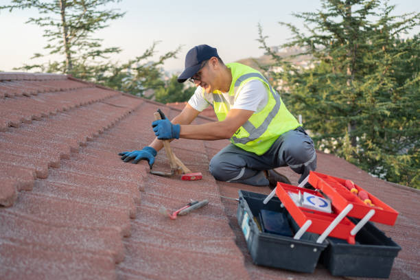 Best Roof Maintenance Services  in Auxvasse, MO